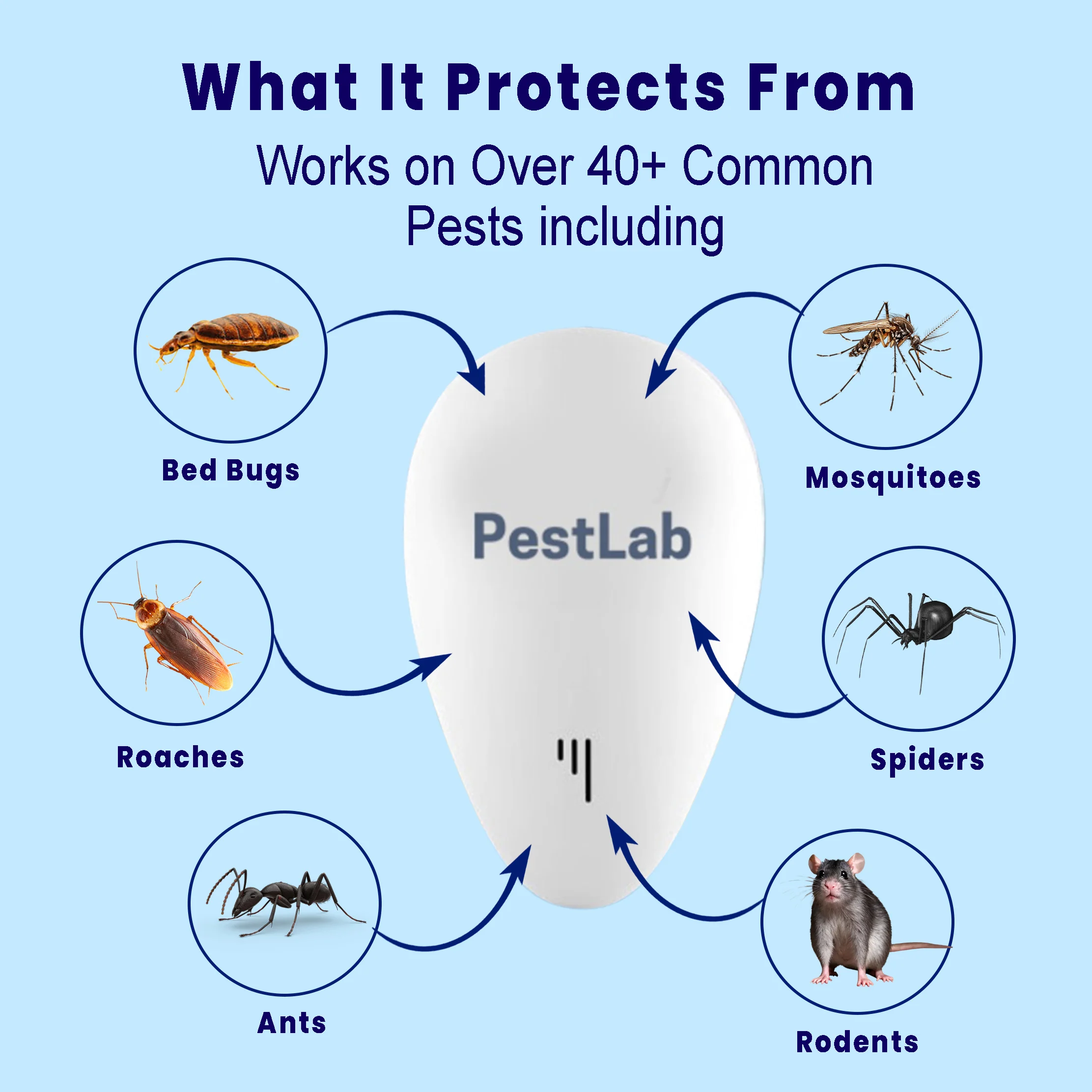 PestLab™ -  Banish Bed Bugs For Good - Image 4
